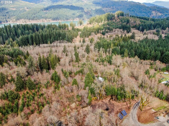 bird's eye view with a mountain view