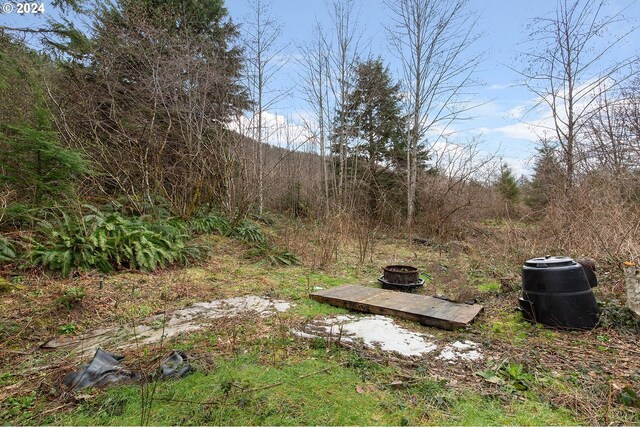 view of yard featuring a fire pit