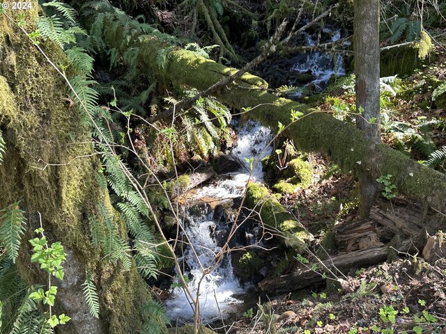 view of local wilderness with a water view