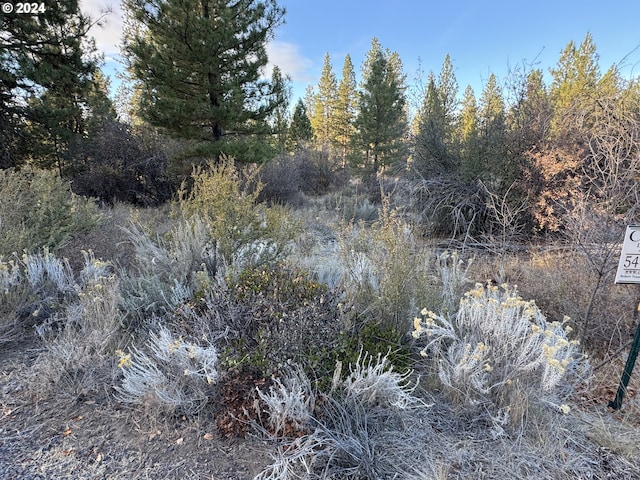 Treeland Rd Lot 6, Chiloquin, OR 97624