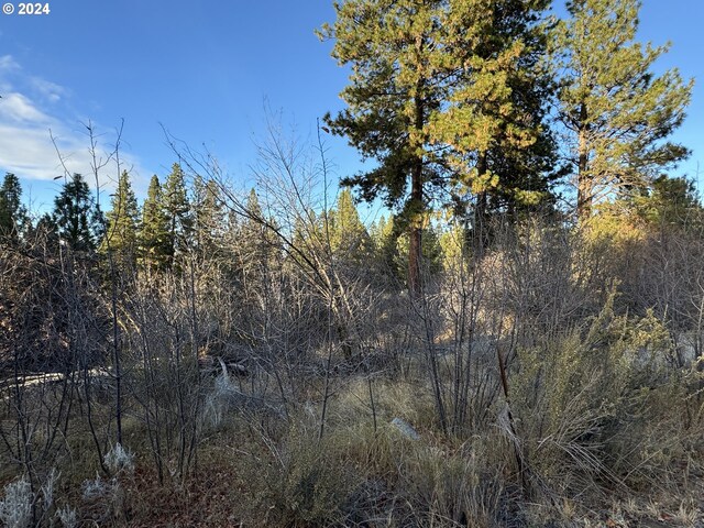 Treeland Rd Lot 6, Chiloquin, OR 97624