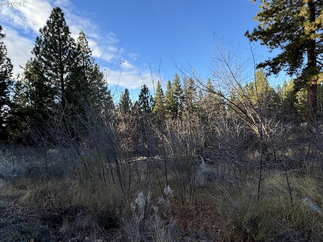 Treeland Rd Lot 6, Chiloquin, OR 97624