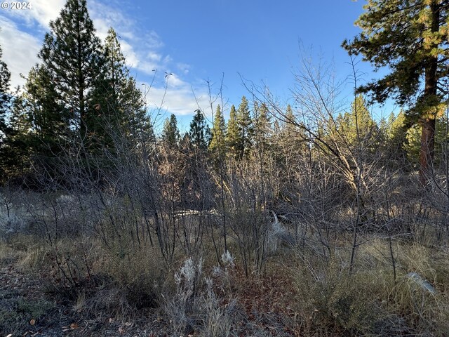 Treeland Rd Lot 6, Chiloquin, OR 97624