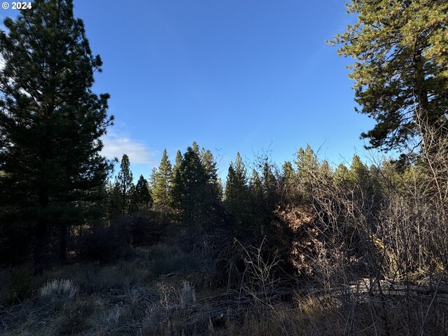 Treeland Rd Lot 6, Chiloquin, OR 97624