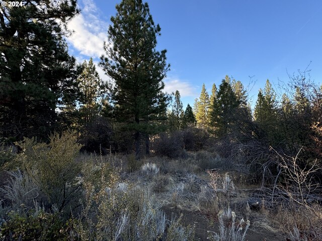 Treeland Rd Lot 6, Chiloquin, OR 97624
