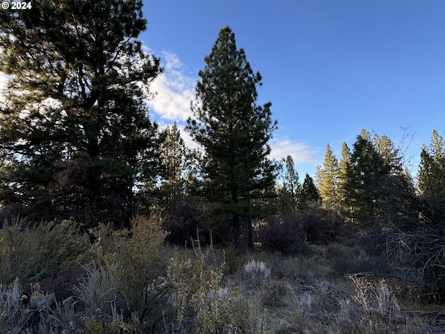 Treeland Rd Lot 6, Chiloquin, OR 97624