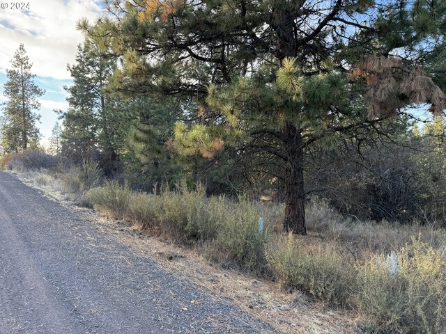 Treeland Rd Lot 6, Chiloquin, OR 97624
