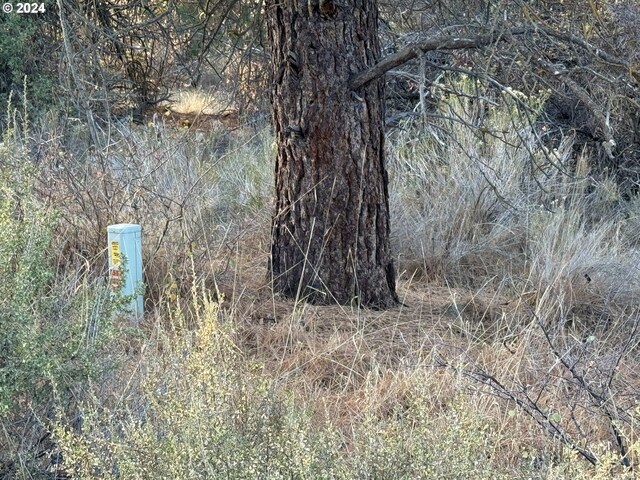 Treeland Rd Lot 6, Chiloquin, OR 97624