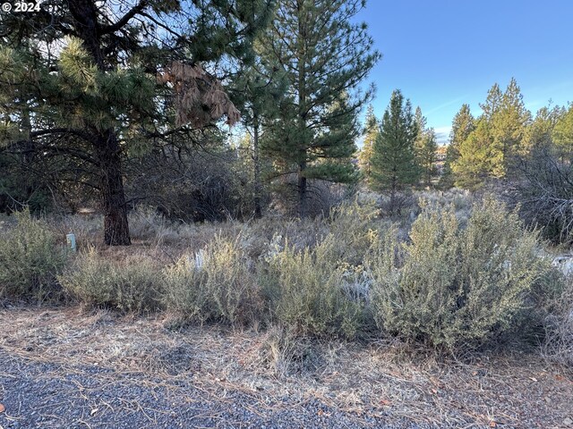 Treeland Rd Lot 6, Chiloquin, OR 97624