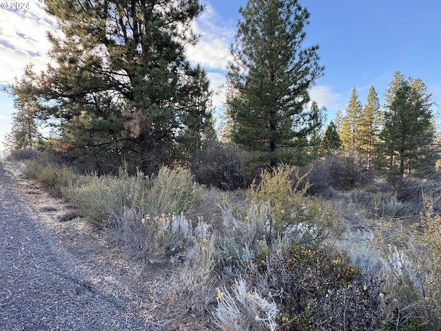 Treeland Rd Lot 6, Chiloquin, OR 97624