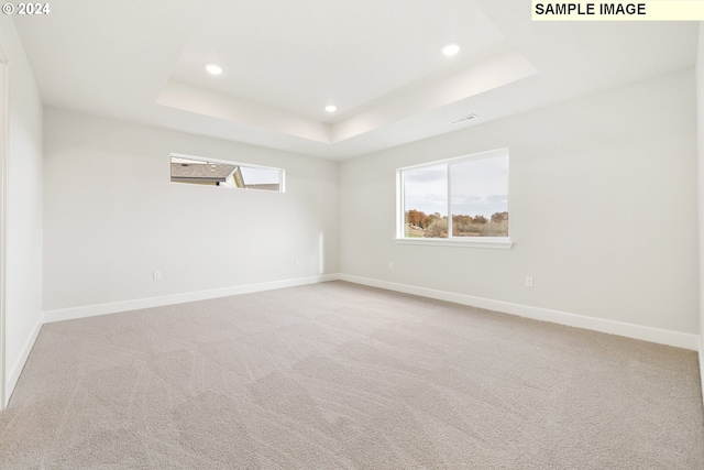 spare room with light colored carpet and a tray ceiling