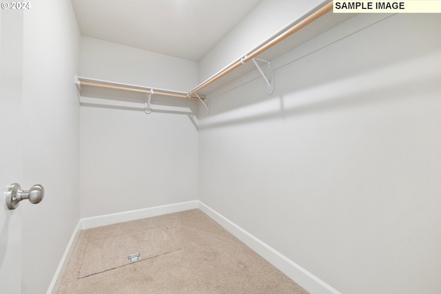 spacious closet with carpet flooring