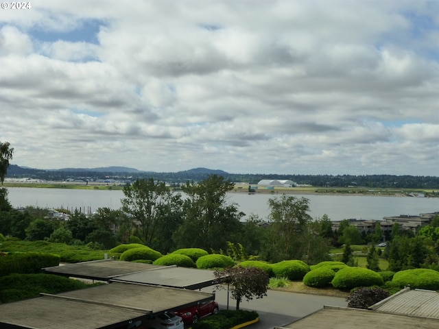 view of water feature