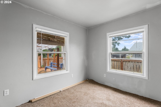 spare room featuring a wealth of natural light and carpet flooring