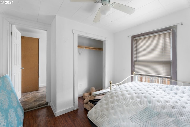 bedroom with ceiling fan, a closet, dark hardwood / wood-style floors, and multiple windows