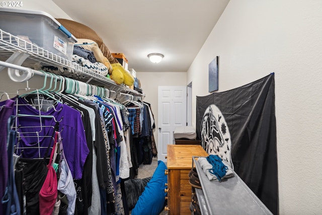 walk in closet with carpet floors