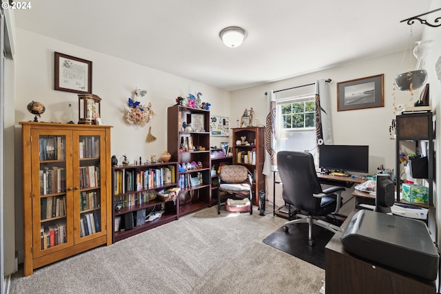 view of carpeted office space