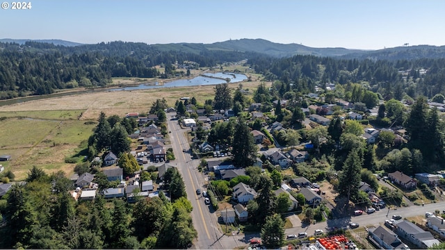 drone / aerial view with a wooded view and a mountain view