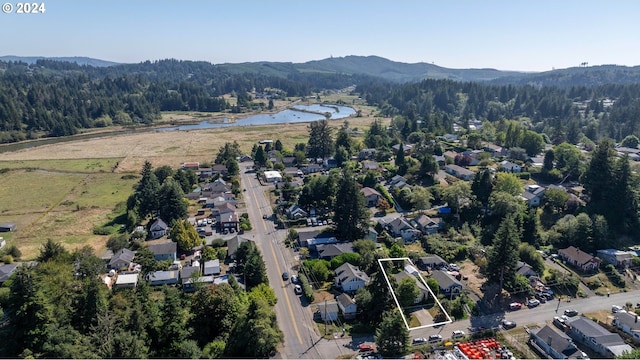 birds eye view of property featuring a forest view and a water and mountain view