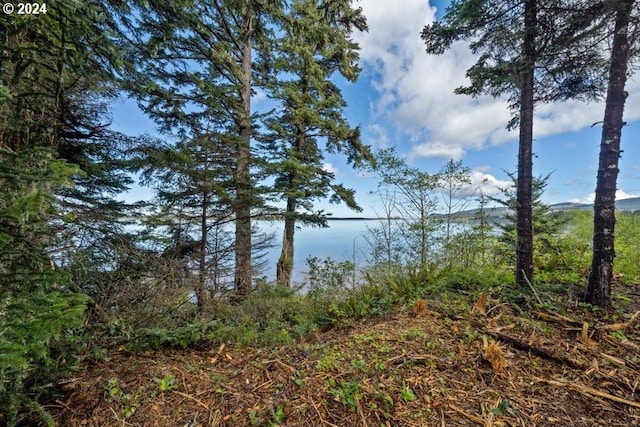 5510 Wee Willie Ln, Tillamook, OR 97141