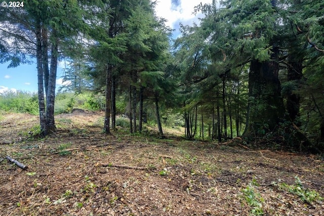 5510 Wee Willie Ln, Tillamook, OR 97141