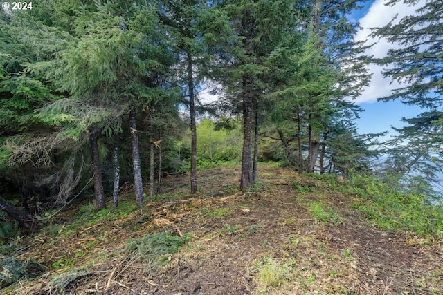 5510 Wee Willie Ln, Tillamook, OR 97141