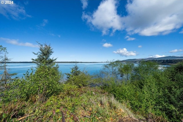 5510 Wee Willie Ln, Tillamook, OR 97141