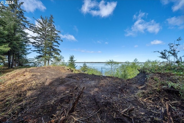 5510 Wee Willie Ln, Tillamook, OR 97141
