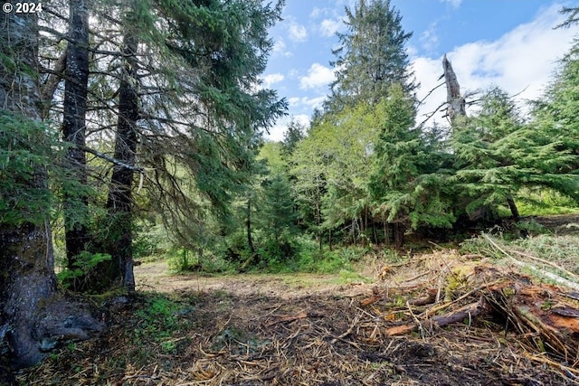 5510 Wee Willie Ln, Tillamook, OR 97141