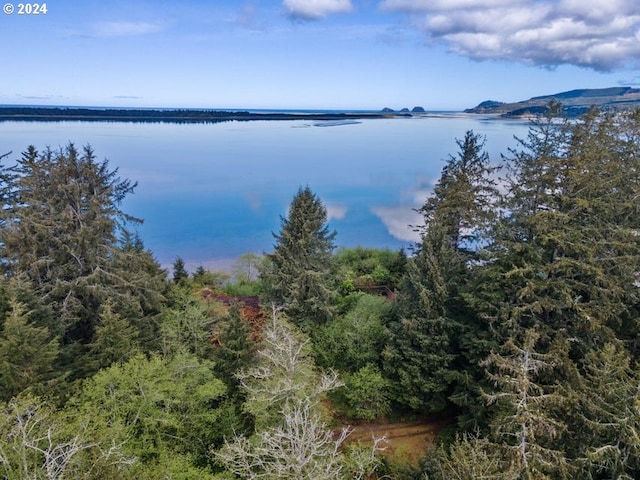 5510 Wee Willie Ln, Tillamook, OR 97141