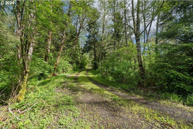 5510 Wee Willie Ln, Tillamook, OR 97141