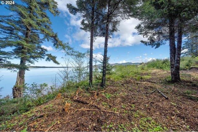 5510 Wee Willie Ln, Tillamook, OR 97141
