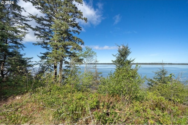 5510 Wee Willie Ln, Tillamook, OR 97141