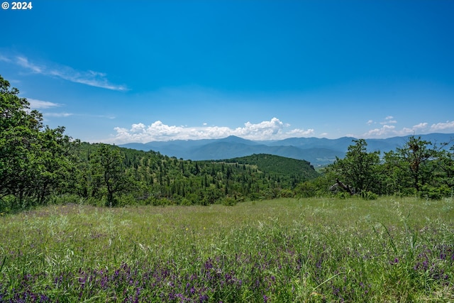 view of mountain feature