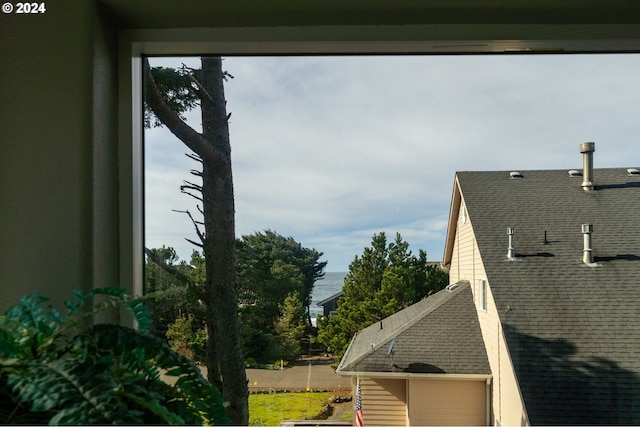 view of home's exterior featuring a shingled roof