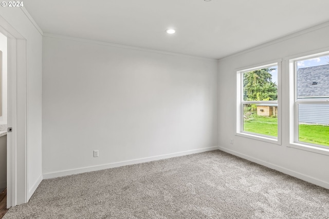 carpeted spare room with ornamental molding