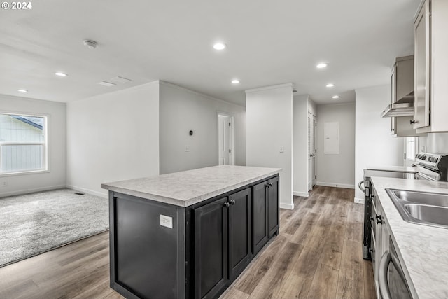 kitchen with a kitchen island, electric stove, light hardwood / wood-style flooring, and dishwashing machine