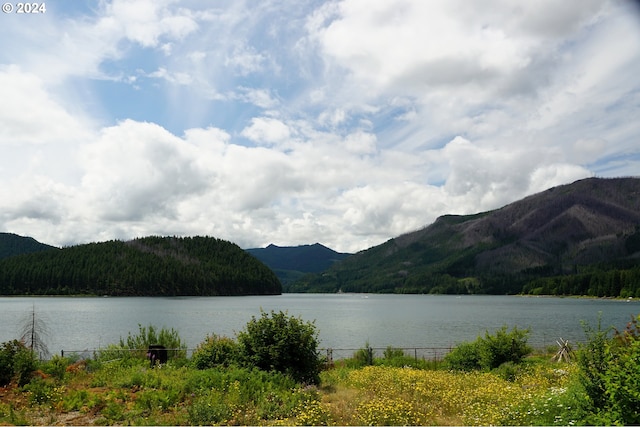 property view of water with a mountain view