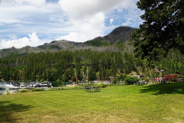 view of home's community featuring a lawn and a water and mountain view