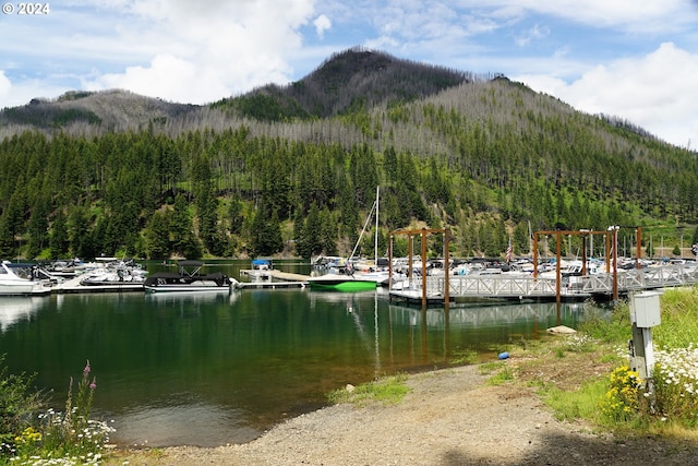 exterior space featuring a water and mountain view