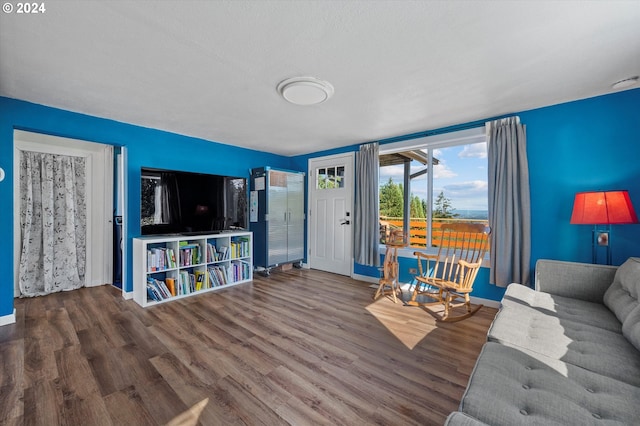 living room featuring a textured ceiling and wood-type flooring