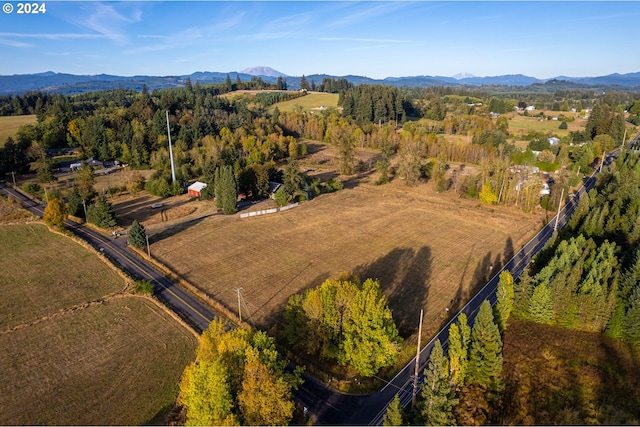 drone / aerial view featuring a mountain view