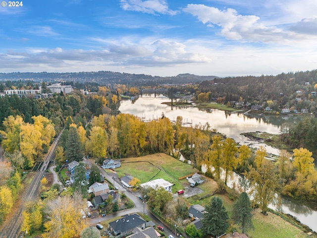 12205 SE 19th Ave, Milwaukie, OR 97222 - aerial view of property and surrounding area featuring a large body of water and a forest