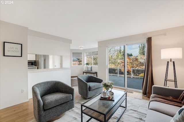 living room featuring light hardwood / wood-style flooring