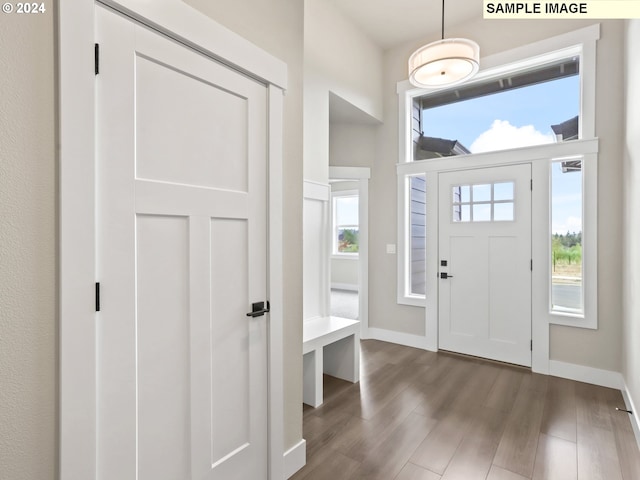 entryway featuring a healthy amount of sunlight and dark hardwood / wood-style floors