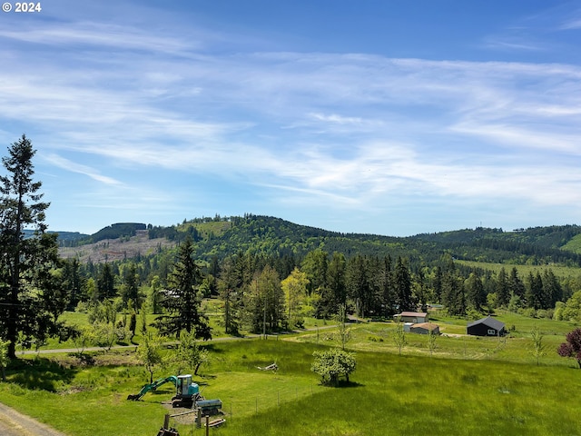 view of mountain feature featuring a rural view