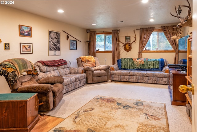 living room with a healthy amount of sunlight, a textured ceiling, and light wood-type flooring