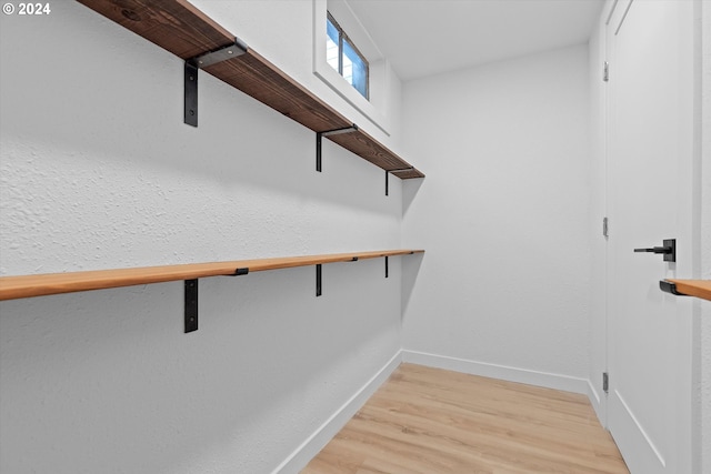 spacious closet featuring light wood-type flooring