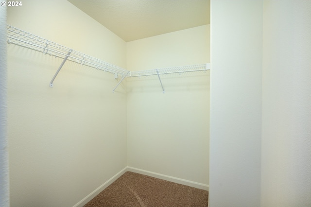 spacious closet with carpet flooring