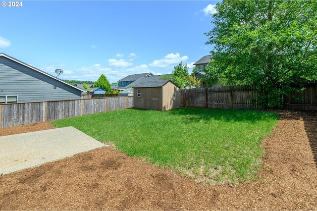 view of yard with a shed